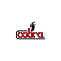 Cobra Car Security
